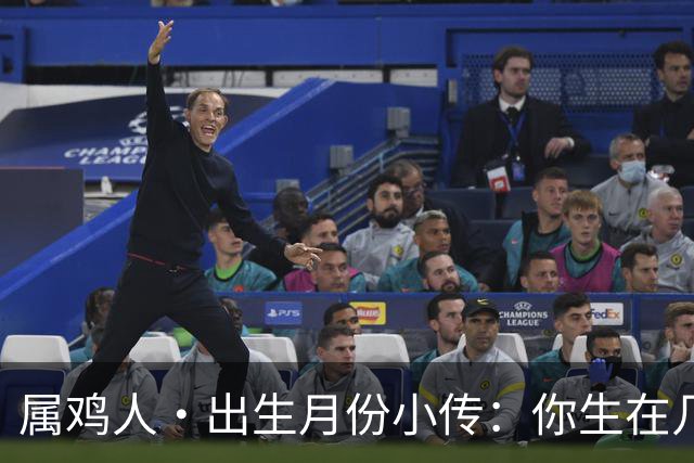 属鸡人·出生月份小传：你生在几月，就藏着你那身不肯乱的羽毛