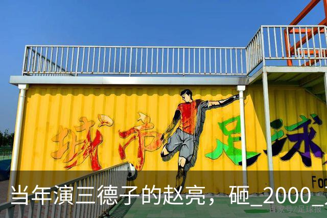 当年演三德子的赵亮，砸 2000 万进山养鸡多年，如今惨得不像个明