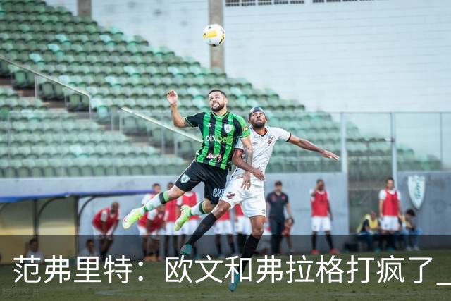 范弗里特：欧文和弗拉格打疯了 末节丢40分很难赢球