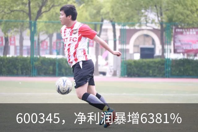 600345，净利润暴增6381%